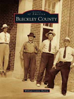cover image of Bleckley County
